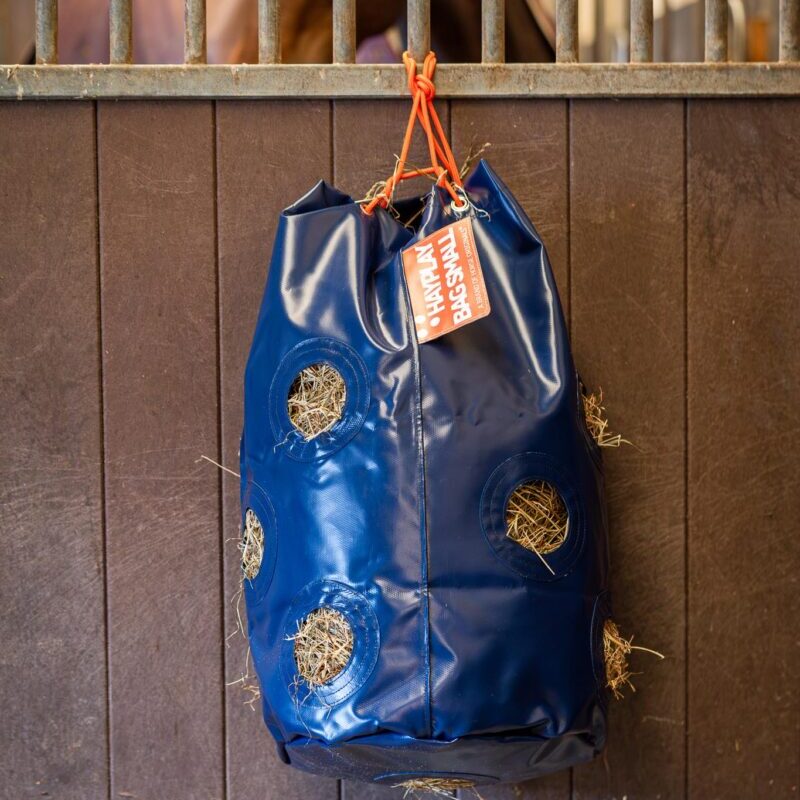 Horse Originals - DaKo Fotografie (Webformaat) 07