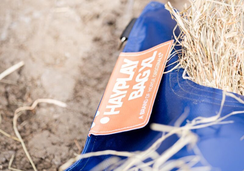 Horse Originals - DaKo Fotografie (Webformaat) 12