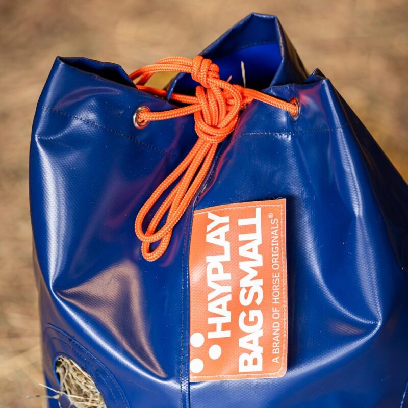 Horse Originals - DaKo Fotografie (Webformaat) 14