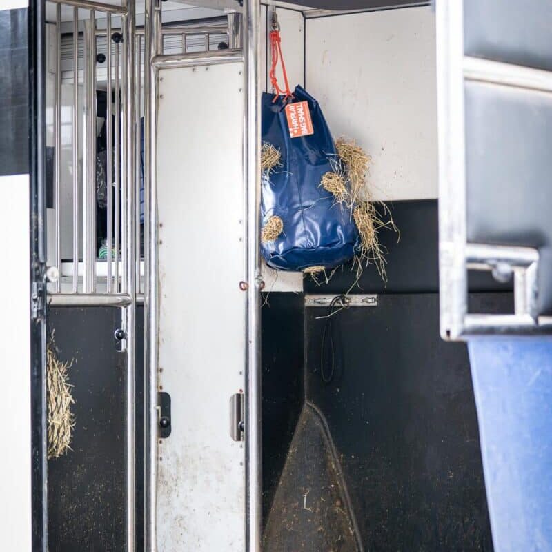 Horse Originals - DaKo Fotografie (Webformaat) 23