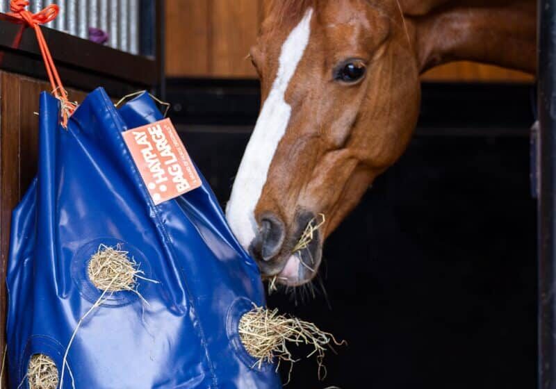 Horse Originals - Less Dust Inhalation