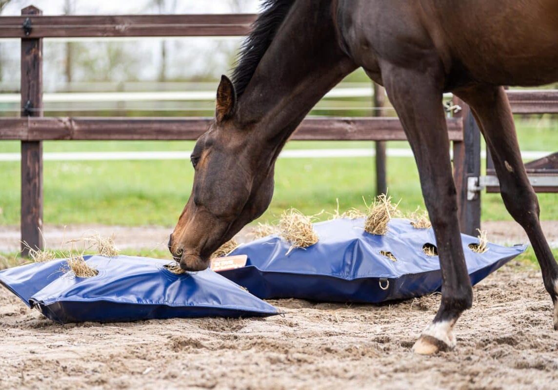 Horse Originals - Natural Eating Posture